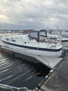 IMG_3810